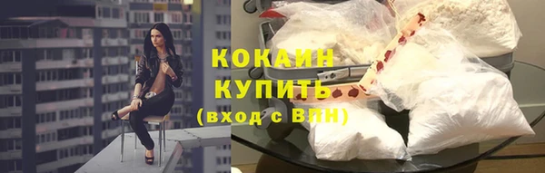 бошки Осинники