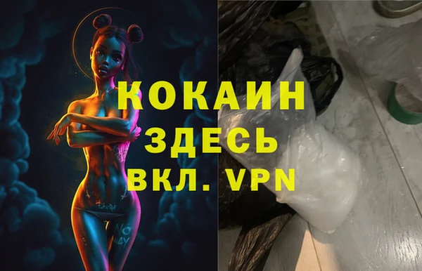 бошки Осинники